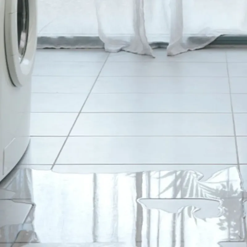 Appliance Leak Cleanup in Harbor Beach, MI