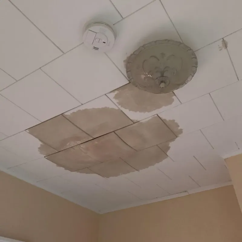 Ceiling Water Damage Repair in Harbor Beach, MI