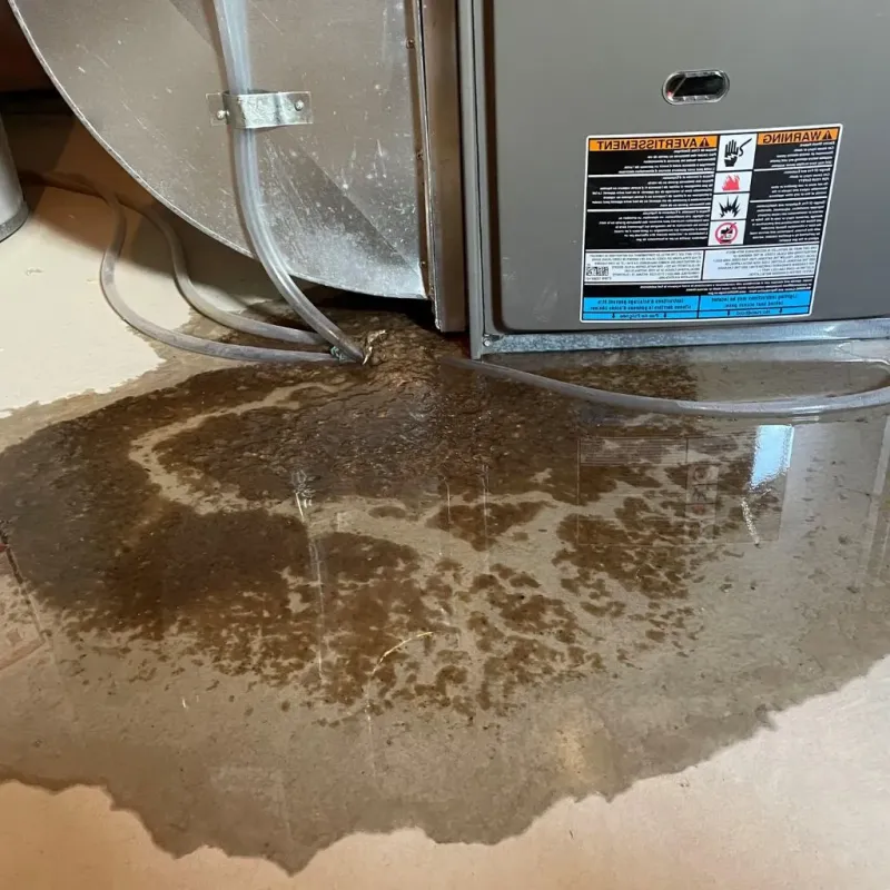 Pipe Burst and Leak Restoration in Harbor Beach, MI