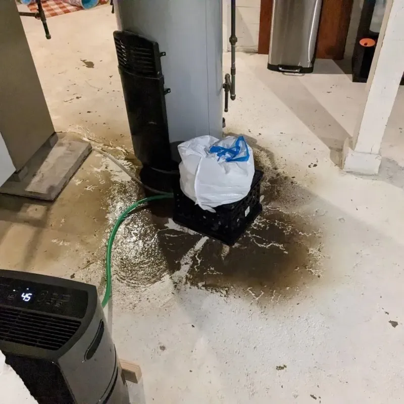 Sewage Backup Cleanup Service in Harbor Beach, MI